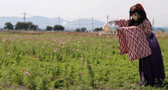 2012_1010_125926AAa.jpg