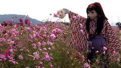 2012_1010_130130AAa.jpg