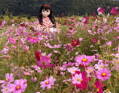 2012_1010_130636AAa.jpg