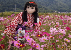 2012_1010_130944AAa.jpg