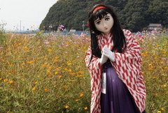 2012_1010_131224AAa.jpg