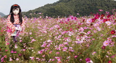 2012_1010_132258AAa.jpg