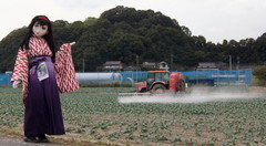 2012_1010_135226AAa.jpg