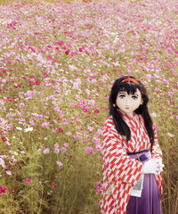2012_1010_140730AAa.jpg