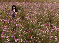 2012_1010_141022AAa.jpg