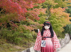 2012_1014_135708AAa.jpg