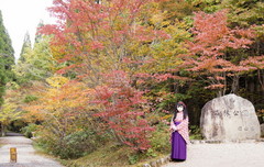 2012_1026_135142AAa.jpg