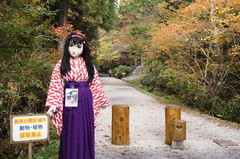 2012_1026_135348AAa.jpg