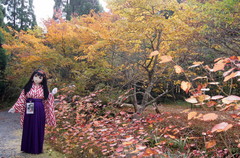 2012_1026_140300AAa.jpg
