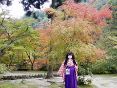 2012_1026_152850AAa.jpg