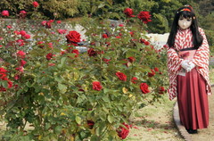 2012_1030_121254AAa.jpg