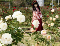 2012_1030_122100AAa.jpg