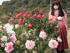 2012_1030_122412AAa.jpg