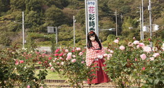 2012_1030_123032AAa.jpg