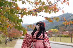 2012_1030_124504AAa.jpg