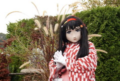 2012_1030_125602AAa.jpg