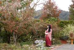 2012_1030_125654AAa.jpg