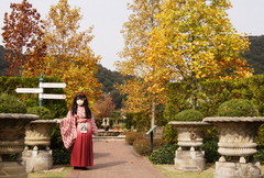 2012_1030_130148AAa.jpg