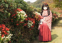 2012_1030_131604AAa.jpg