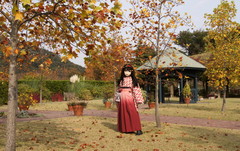 2012_1030_131904AAa.jpg