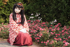 2012_1030_133500AAa.jpg
