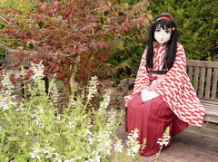 2012_1030_134616AAa.jpg