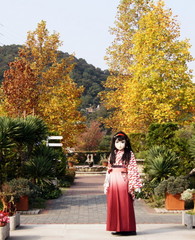 2012_1030_141500AAa.jpg