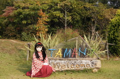 2012_1030_141938AAa.jpg