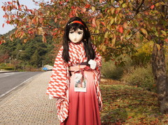 2012_1030_142412AAa.jpg