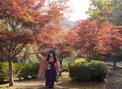 2012_1106_120200AAa.jpg