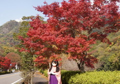 2012_1106_120338AAa.jpg