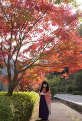 2012_1106_120610AAa.jpg