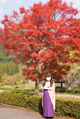 2012_1106_121132AAa.jpg