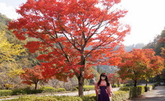 2012_1106_121304AAa.jpg