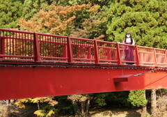 2012_1106_124404AAa.jpg