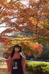 2012_1106_124802AAa.jpg
