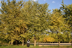 2012_1106_155828AAa.jpg