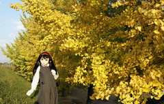 2012_1106_160406AAa.jpg