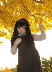 2012_1106_161150AAa.jpg