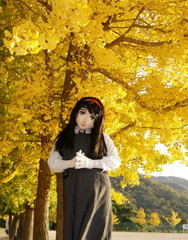 2012_1106_161442AAa.jpg
