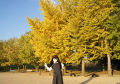 2012_1106_161702AAa.jpg