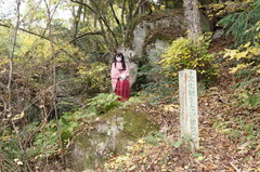 2012_1110_160904AAa.jpg