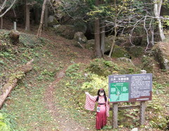 2012_1110_162308AAa.jpg
