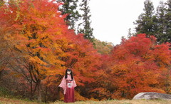 2012_1110_162948AAa.jpg