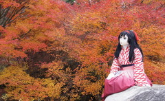 2012_1110_163242AAa.jpg