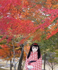2012_1110_164048AAa.jpg
