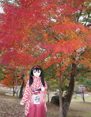 2012_1110_164154AAa.jpg