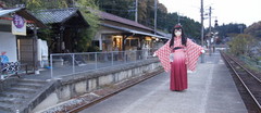 2012_1110_170042AAa.jpg