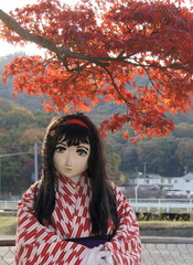 2012_1119_145720AAa.jpg