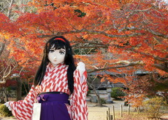 2012_1119_160012AAa.jpg